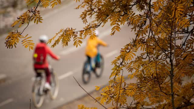 Talvea on turha odottaa – Viikon ylin lämpötila kapuaa jopa 12 asteeseen