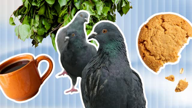 7 sanatonta sääntöä, joita rikkomalla saa suomalaiset helposti ymmälleen