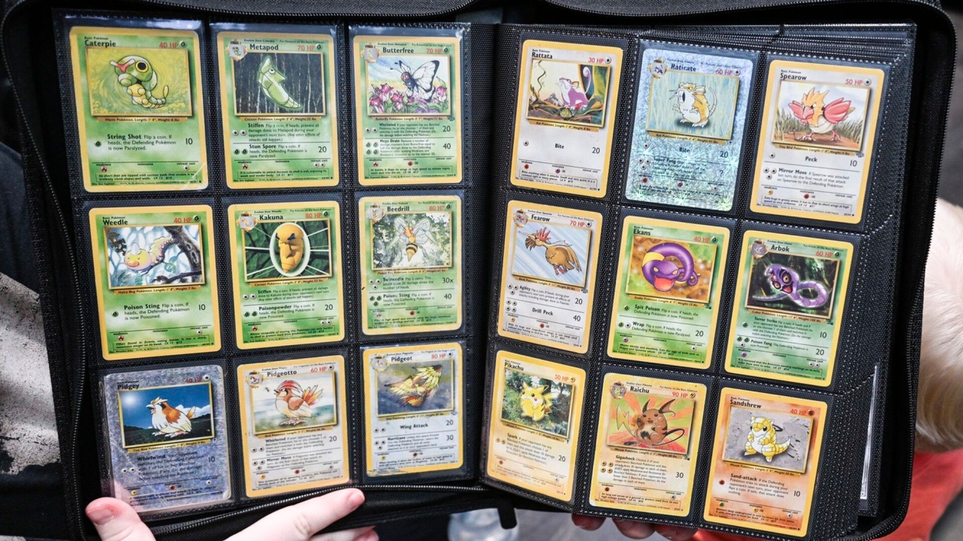 Mies löysi ullakoltaan 1,86 miljoonan euron arvoisen Pokémon-korttikokoelman