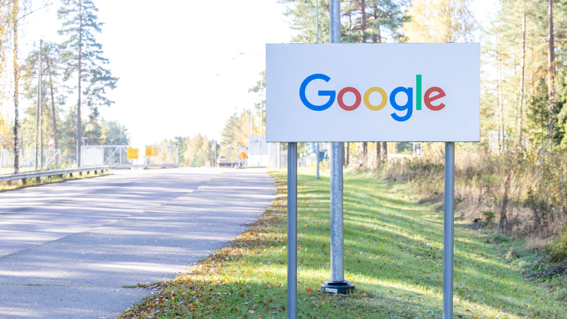 Google pyysi salaamaan tietoja luvattomista hakkuista Haminassa – ely-keskus suostui pyyntöön