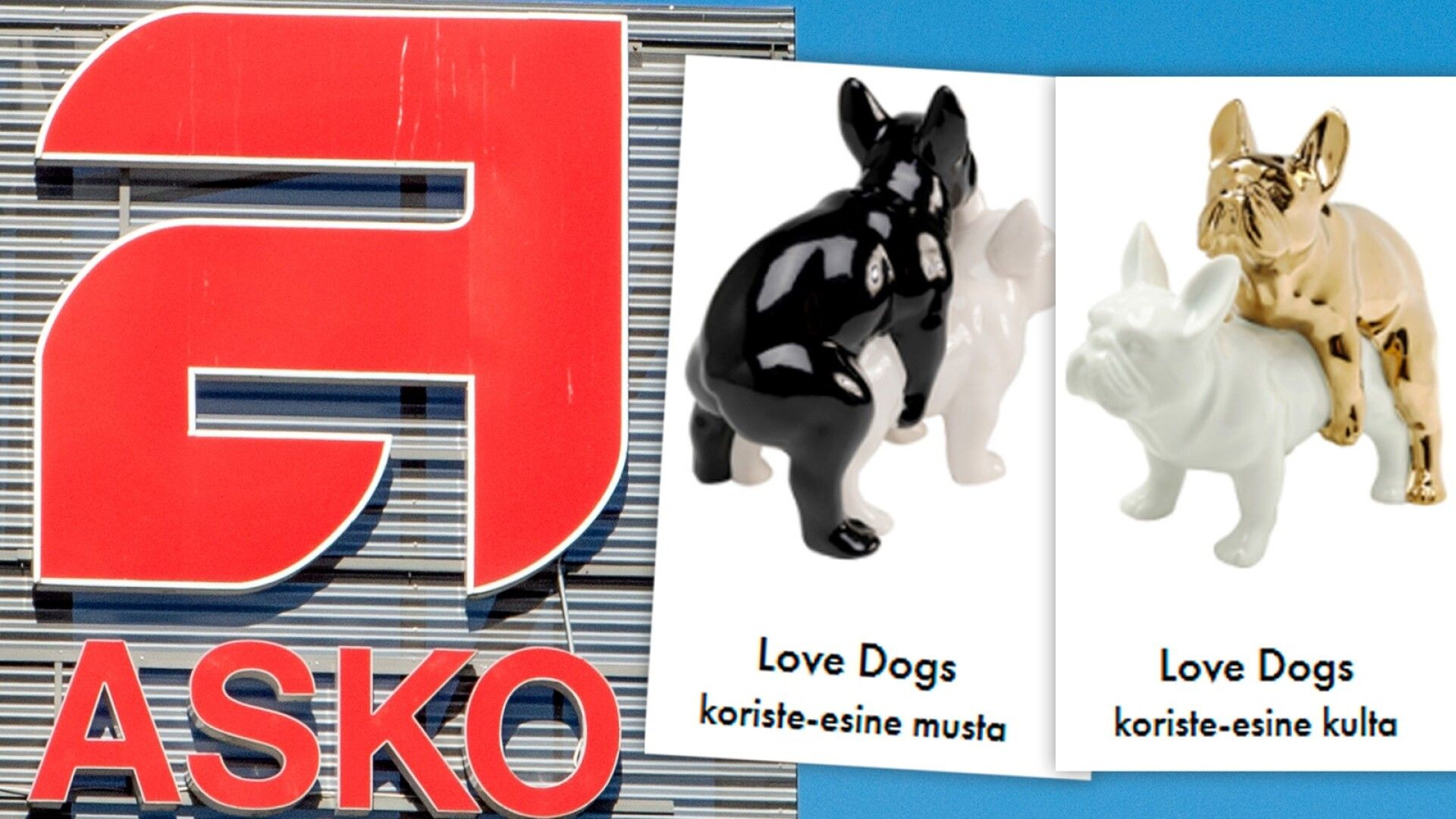 Askon roisi koirapatsas kuohuttaa somessa – ”Paha virhearvio”