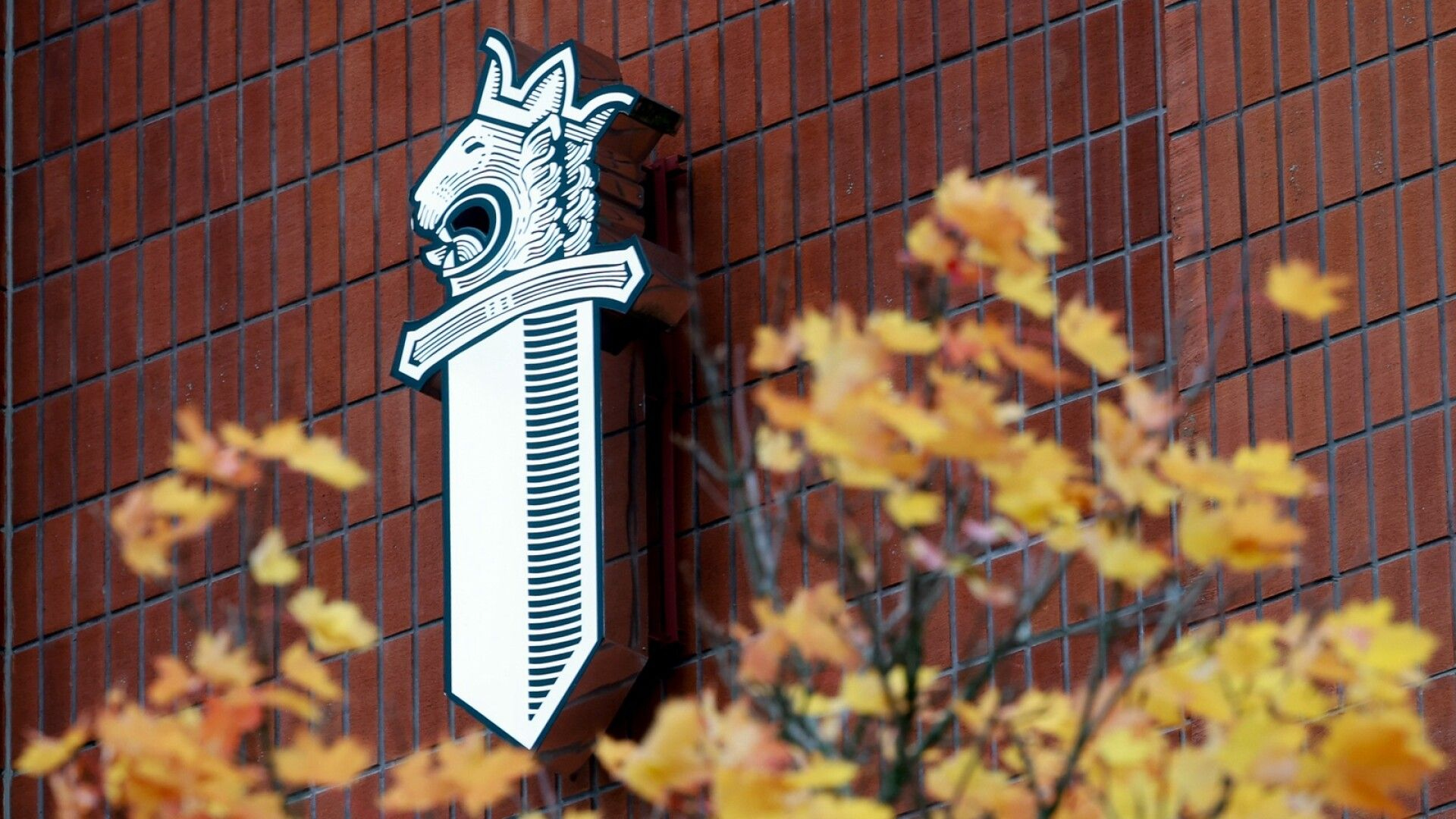 Nuoret piinaavat asukkaita Kemissä – poliisi uhkaa takavarikoida mopot