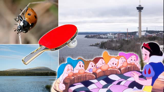 Saatko kaikki 14 oikein? Testaa tietosi helpossa yleistietovisassa