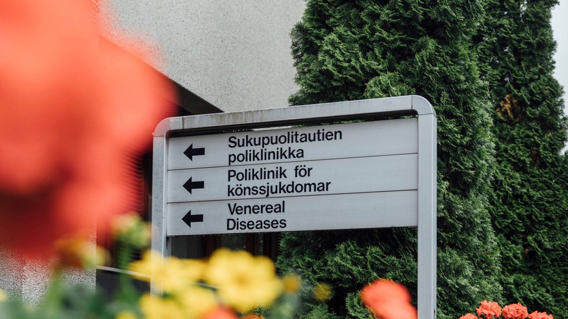 Yksi seksitauti yleistyy Suomessa – lääkäri kertoo huolestuttavasta muutoksesta