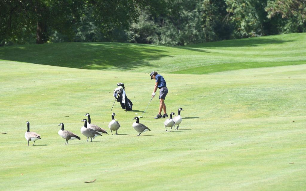 Suosittu golfkenttä jyrätään datakeskuksen tieltä Yhdysvalloissa – Pelaajat murtuivat kyyneliin