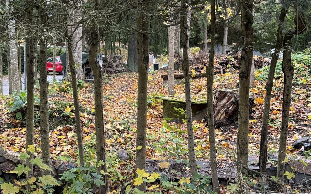 Juuri ostetun talon viemäreistä paljastui karmea totuus