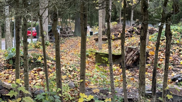 Juuri ostetun talon viemäreistä paljastui karmea totuus