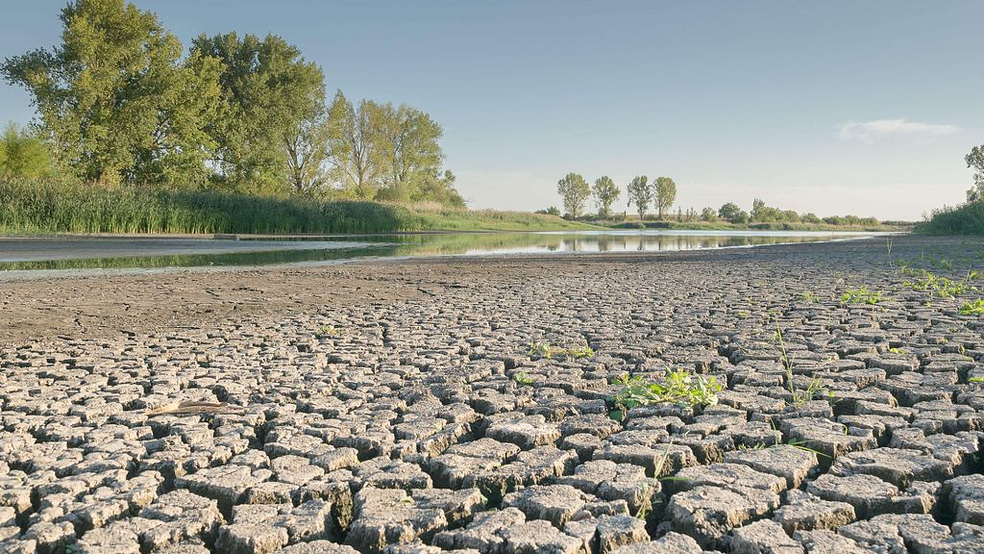 ”Kaikkien aikojen pahin” – Yli 50 000 kuoli Euroopassa