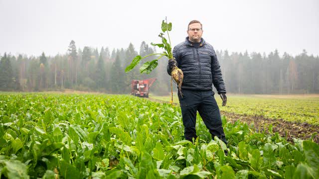 Viljelijä Aki Laaksonen luopui apulannasta ja säästi satoja euroja hehtaarilta