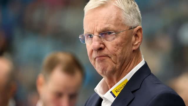 Google on hakannut laittomasti myös Haminassa, mutta rikosilmoitusta ei tehty – liito-oravien puut kaadettiin